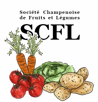 Logo SCFL